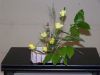 100_5505.JPG