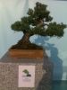 Filename=10.jpg
Filesize=583KB
Dimensions=1536x2048
Date added=Feb 05, 2012 10.jpg