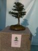 Filename=11.jpg
Filesize=319KB
Dimensions=1536x2048
Date added=Feb 05, 2012 11.jpg